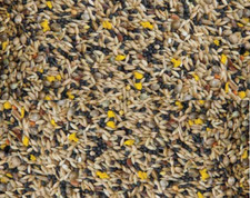 3kg 20kg canary mixed - canary, seed