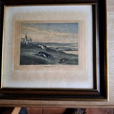Framed Print Etching Coursing Greyhound Hunting 1799