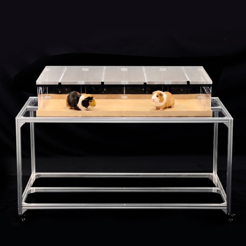 Guinea pig cage - large, 4x2ft