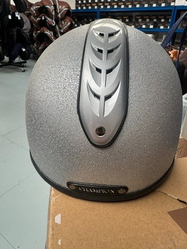 Champion air nova - x-air,
