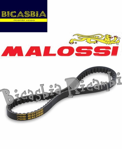 12100 variator belt malossi - variator,