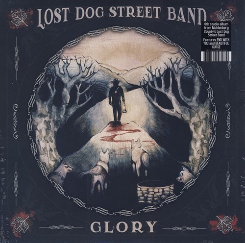 Lost dog street - lost,