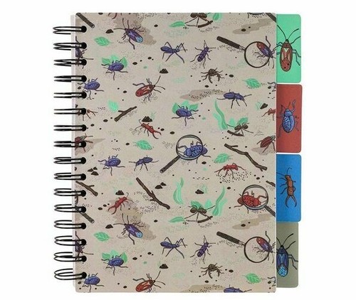Paperchase kids ruled - paperchase,