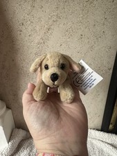 All Creature Collections