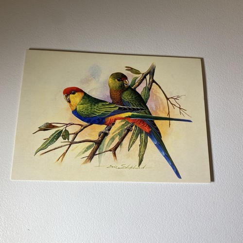 Australian bird postcard - bird, –