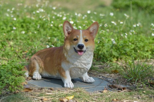 Corgi dog lifelike - dog,