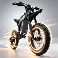 Electric Bike Adults 20 X4.0
