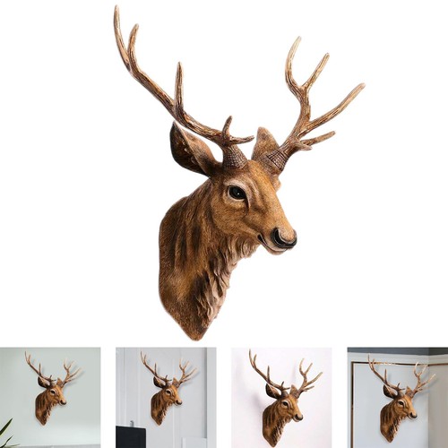 Wall mounted deer - wall, home
