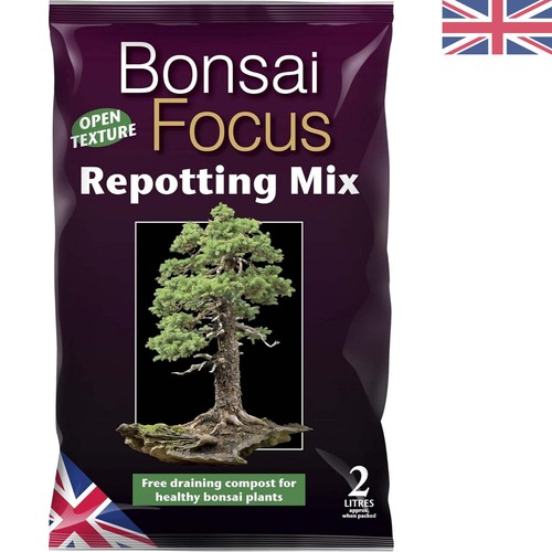 Compact bonsai focus - 2l,