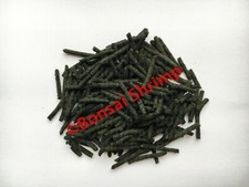 10g Black Mamba Bonsai Shrimp