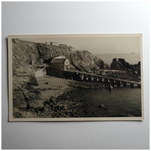 The lizard lifeboat - the,