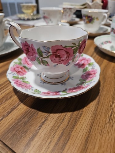 Lady alexander rose fine - lady,