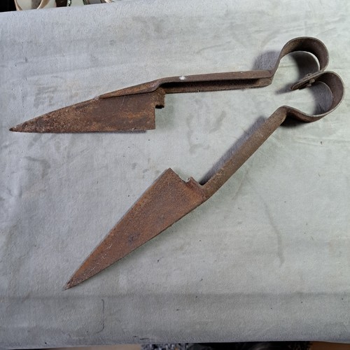 Vintage sheep shears clippers - sheep,