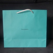 Tiffany&Co  Medium Gift Bag