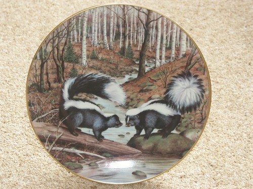 The woodland year - year,