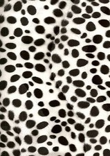 Animal Print faux Fur/Velour