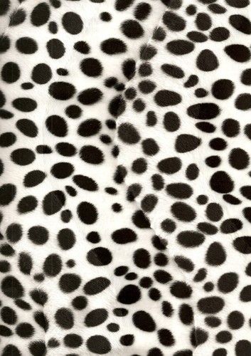 Animal print faux - animal,
