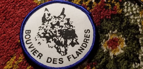 Bouvier des flandres dog - des,