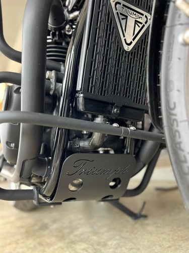 Engine protector guard skid