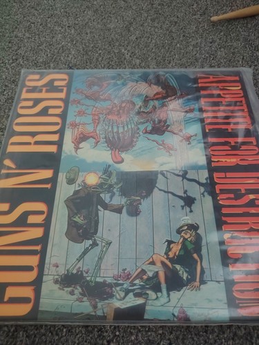 Appetite for destruction - for, by