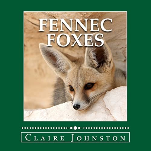 Fennec foxes wily - fennec, foxes: