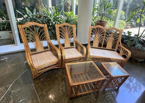 Vintage palm fan rattan living - palm,