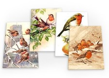 Robins Robin Red Breast Bird Vintage Set B 4 X Fridge Magnets (A) Set Retro