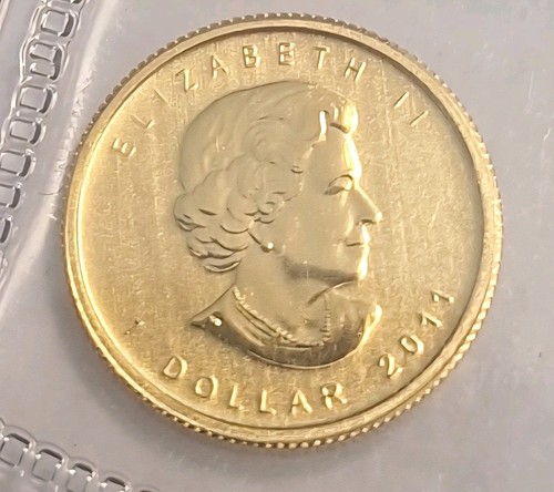 Canada gold maple - oz, leaf