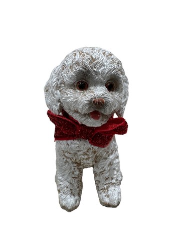 Poodle bichon frise - poodle,