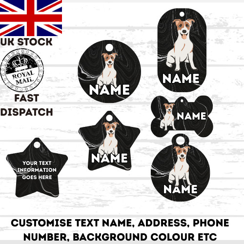 Jack russell dog pet - jack,