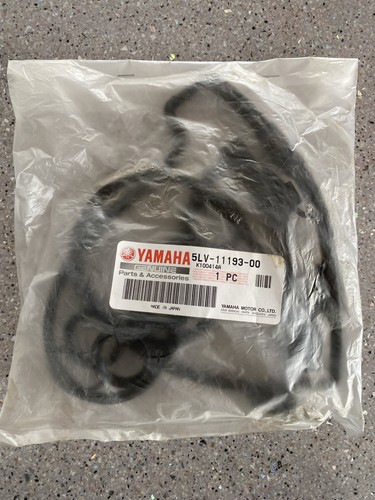 Genuine yamaha fzs - genuine, fazer
