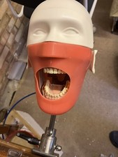 Dental Training Teaching Manikin Phantom Head Dental Simulator Bench Mount