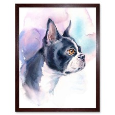 Dog Boston Terrier Watercolour