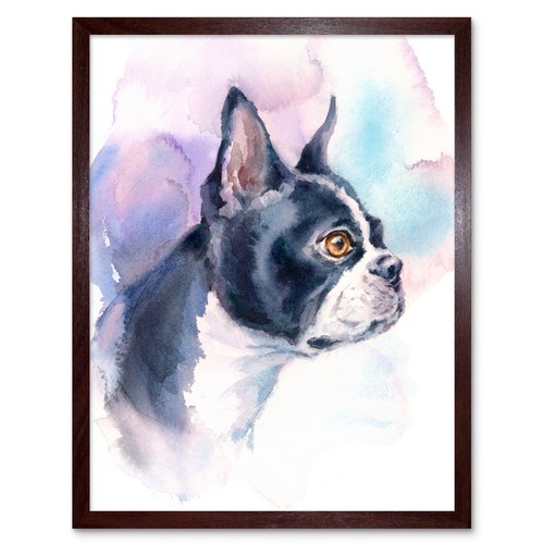 Dog boston terrier watercolour - boston,