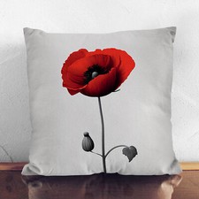 Plump Cushion Poppy Flower