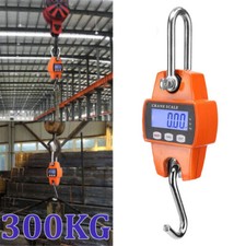 300kg Mini Crane Scale