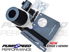 Pumaspeed racing gemini stage - racing,