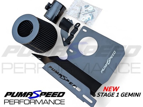 Pumaspeed racing gemini stage - racing,