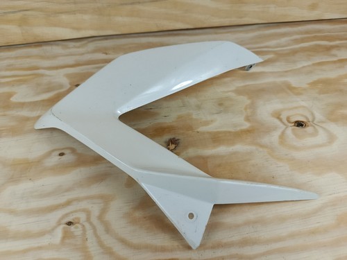 Kawasaki panel fairing - zx,