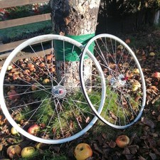 Fixed Gear Wheelset with Flip