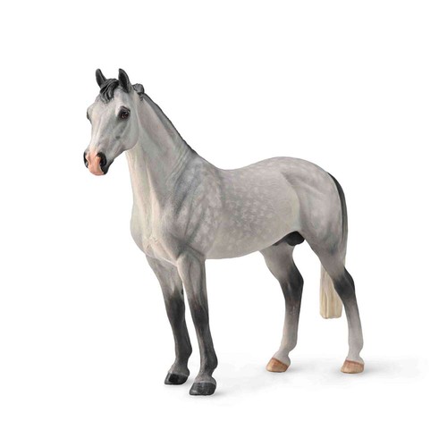 Collecta hanoverian stallion - hanoverian,