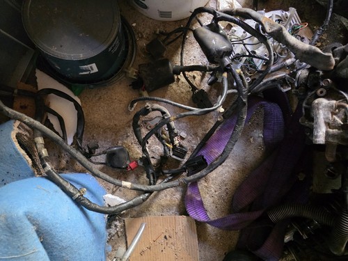 Honda pes 125 complete wiring - pes,