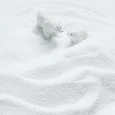 500g Aquarium Micro Landscape