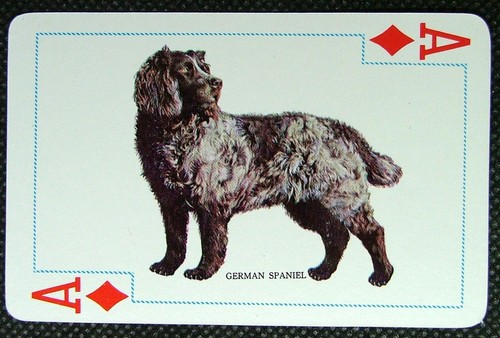 Playing card single - 1,