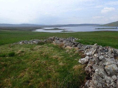 Photo 6x4 disused sheep - photo,