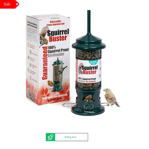 Squirrel proof bird feeder - proof,