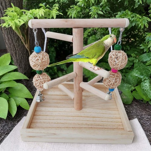 Wooden budgie finches - budgie, bird