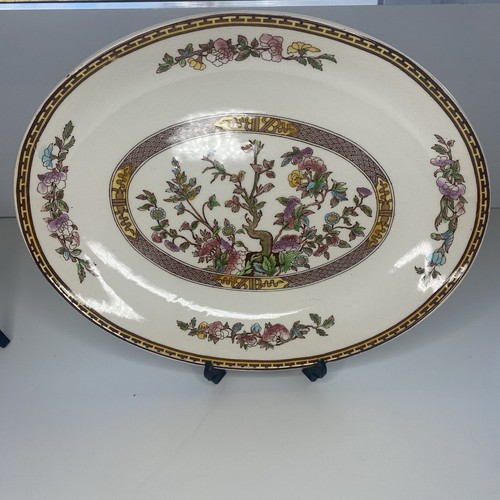 Washington pottery indian tree - indian,