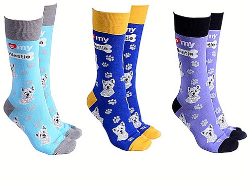 Westie dog socks - dog, one