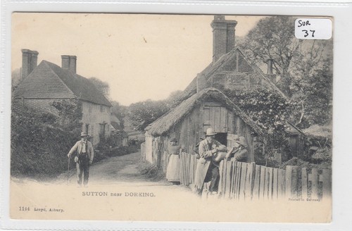 Sutton near dorking surrey - dorking,